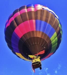 Lynette Shepherd Balloon