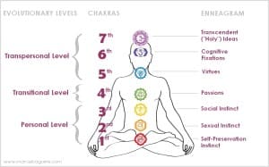 Enneagram & Chakras